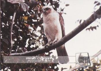 1993 Boomerang Book Club Birds of Prey #11 Hawaiian Hawk Front