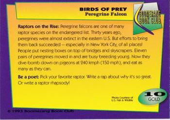 1993 Boomerang Book Club Birds of Prey - Gold #10 Peregrine Falcon Back