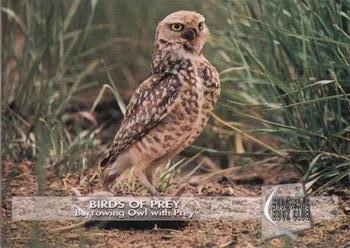 1993 Boomerang Book Club Birds of Prey - Gold #14 Burrowing Owl with Prey Front