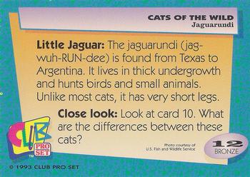 1992 Club Pro Set Cats of the Wild #12 Jaguarundi Back