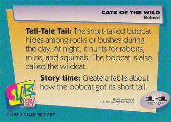 1992 Club Pro Set Cats of the Wild #14 Bobcat Back