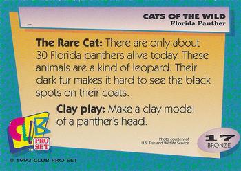 1992 Club Pro Set Cats of the Wild #17 Florida Panther Back