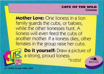 1992 Club Pro Set Cats of the Wild #4 Lioness Back