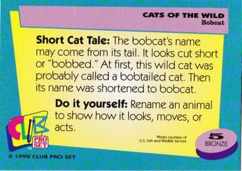 1992 Club Pro Set Cats of the Wild #5 Bobcat Back