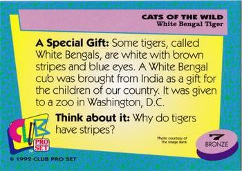 1992 Club Pro Set Cats of the Wild #7 White Bengal Tiger Back