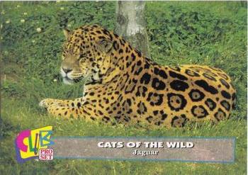 1992 Club Pro Set Cats of the Wild - Silver #10 Jaguar Front
