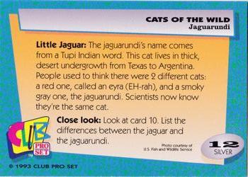 1992 Club Pro Set Cats of the Wild - Silver #12 Jaguarundi Back