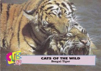 1992 Club Pro Set Cats of the Wild - Silver #2 Bengal Tiger Front