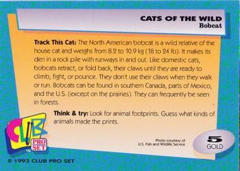 1992 Club Pro Set Cats of the Wild - Gold #5 Bobcat Back
