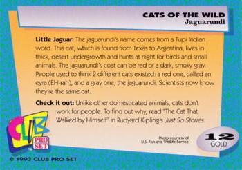 1992 Club Pro Set Cats of the Wild - Gold #12 Jaguarundi Back