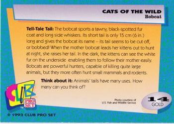 1992 Club Pro Set Cats of the Wild - Gold #14 Bobcat Back