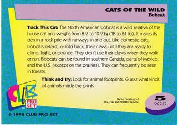 1992 Club Pro Set Cats of the Wild - Gold #5 Bobcat Back