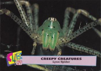 1992 Club Pro Set Creepy Creatures #5 Lynx Spider Front