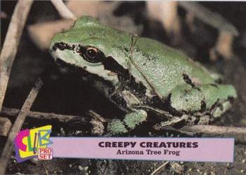 1992 Club Pro Set Creepy Creatures #6 Arizona Tree Frog Front