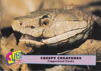 1992 Club Pro Set Creepy Creatures #7 Copperhead Snake Front