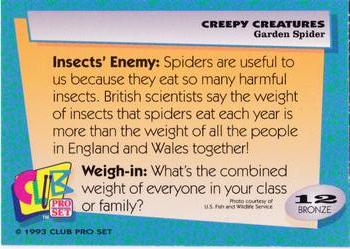 1992 Club Pro Set Creepy Creatures #12 Garden Spider Back