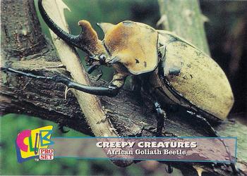 1992 Club Pro Set Creepy Creatures #18 African Goliath Beetle Front