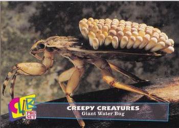 1992 Club Pro Set Creepy Creatures #25 Giant Water Bug Front