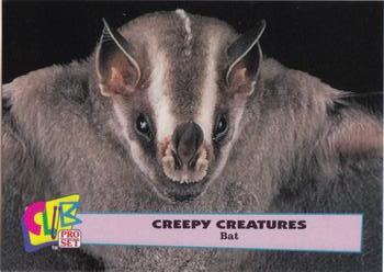 1992 Club Pro Set Creepy Creatures #1 Bat Front