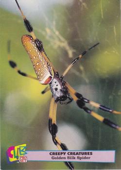 1992 Club Pro Set Creepy Creatures #2 Golden Silk Spider Front