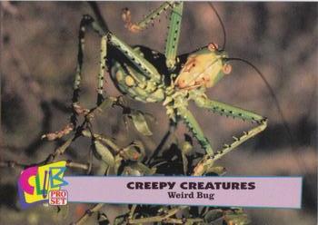 1992 Club Pro Set Creepy Creatures #8 Weird Bug Front