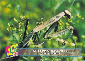 1992 Club Pro Set Creepy Creatures - Gold #10 Praying Mantis Front