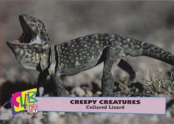 1992 Club Pro Set Creepy Creatures - Gold #3 Collared Lizard Front