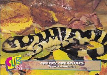 1992 Club Pro Set Creepy Creatures - Silver #26 Tiger Salamander Front