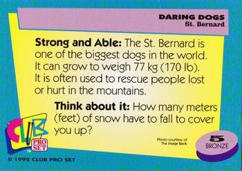 1992 Club Pro Set Daring Dogs #5 St. Bernard Back