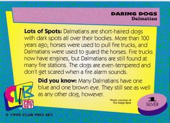 1992 Club Pro Set Daring Dogs - Silver #1 Dalmatian Back
