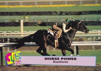 1992 Club Pro Set Horse Power #4 Racehorse Front