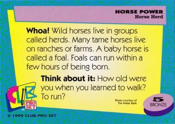 1992 Club Pro Set Horse Power #5 Horse Herd Back