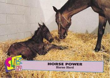 1992 Club Pro Set Horse Power #5 Horse Herd Front
