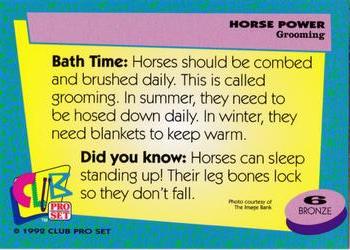 1992 Club Pro Set Horse Power #6 Grooming Back