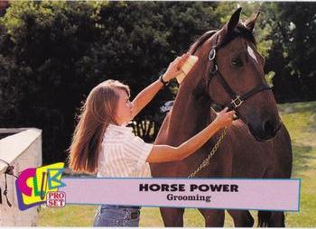 1992 Club Pro Set Horse Power #6 Grooming Front