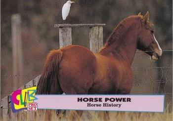 1992 Club Pro Set Horse Power - Silver #8 Horse History Front