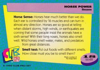 1992 Club Pro Set Horse Power - Silver #18 Senses Back