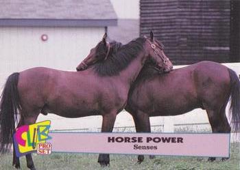 1992 Club Pro Set Horse Power - Silver #18 Senses Front