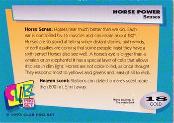 1992 Club Pro Set Horse Power - Gold #18 Senses Back