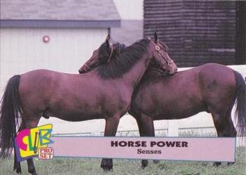 1992 Club Pro Set Horse Power - Gold #18 Senses Front