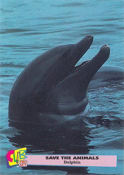 1992 Club Pro Set Save the Animals #15 Dolphin Front