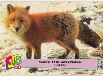 1992 Club Pro Set Save the Animals #17 Red Fox Front