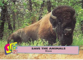 1992 Club Pro Set Save the Animals #18 Bison Front