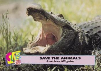 1992 Club Pro Set Save the Animals #8 American Alligator Front