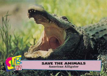 1992 Club Pro Set Save the Animals - Gold #8 American Alligator Front