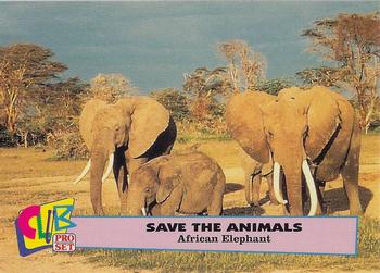 1992 Club Pro Set Save the Animals - Gold #6 African Elephant Front