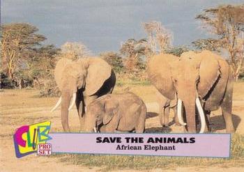 1992 Club Pro Set Save the Animals - Silver #6 African Elephant Front