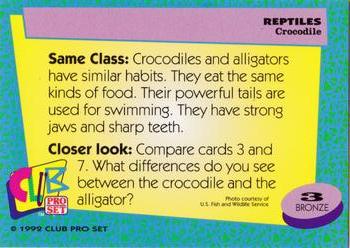 1992 Smithsonian Institute Reptiles #3 Crocodile Back