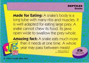1992 Smithsonian Institute Reptiles #5 Snake Back