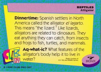 1992 Smithsonian Institute Reptiles #7 Alligator Back